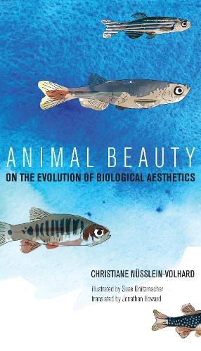 Animal Beauty (The MIT Press)
