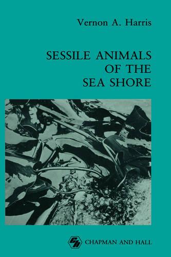 Sessile Animals of the Sea Shore