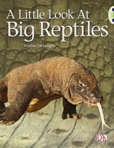 A Little Look at Big Reptiles NF (Blue B) (BUG CLUB)