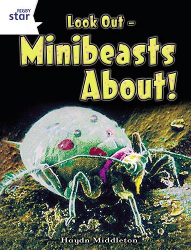 Look Out - Minibeasts About!: White Level Non-fiction