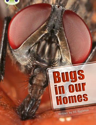 Bug Club Non-fiction Bugs in Our Homes (lime A / NC 3C)