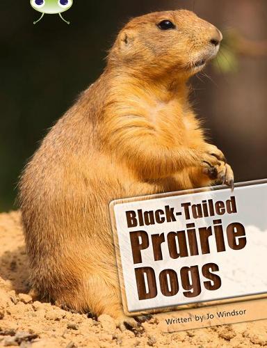 Bug Club Non-fiction Black-tailed Prairie Dogs (white B / NC 2A)