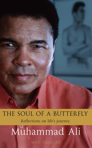 The Soul Of A Butterfly: Reflections on Life's Journey