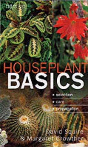Houseplant Basics
