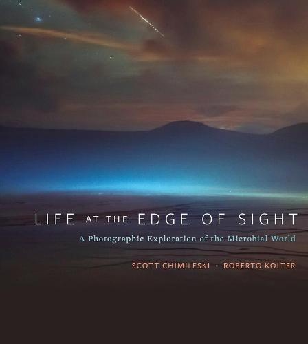 Life at the Edge of Sight: A Photographic Exploration of the Microbial World