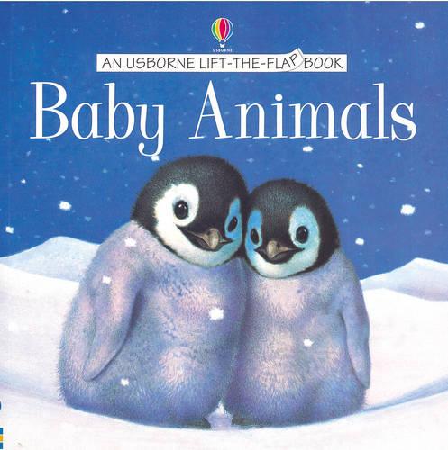 Baby Animals (Usborne Lift the Flap Learner S.)