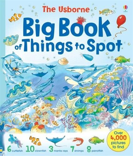 The Usborne Big Book of Things to Spot (Young searches)