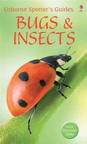 Bugs and Insects (Usborne Spotter's Guide)
