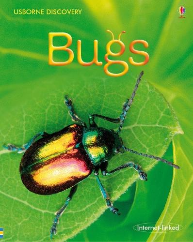 Bugs (Usborne Discovery)