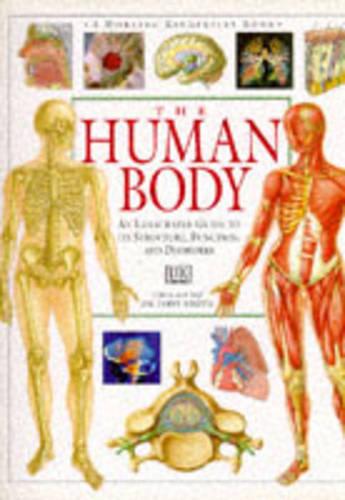 The Human Body