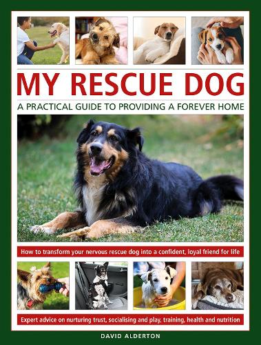 My Rescue Dog: A practical guide to providing a forever home. How to understand and transform your nervous rescue dog into a happy, confident, loyal ... health and nutrition, and learning to play