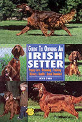 Guide to Owning an Irish Setter: Puppy Care, Grooming, Training, History, Health, Breed Standard