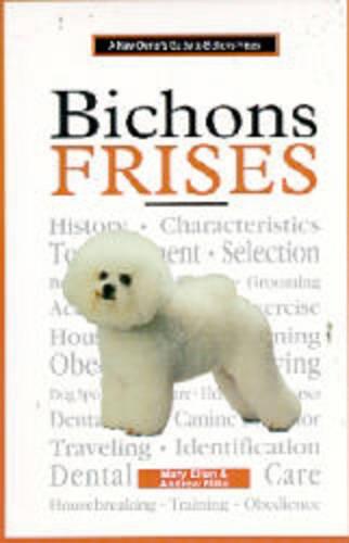 A New Owners Guide to Bichon Frises