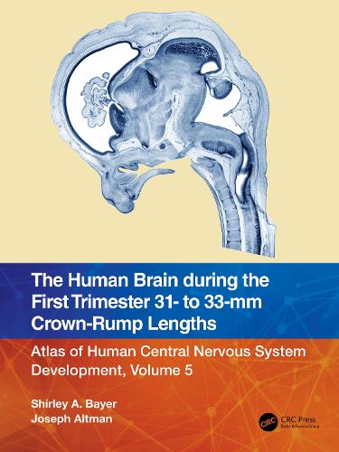 The Human Brain during the First Trimester 31- to 33-mm Crown-Rump Lengths: Atlas of Human Central Nervous System Development, Volume 5 (Atlas of Human Central Nervous System Development, 5)