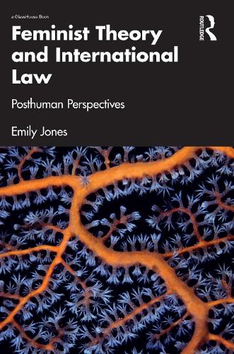 Feminist Theory and International Law: Posthuman Perspectives