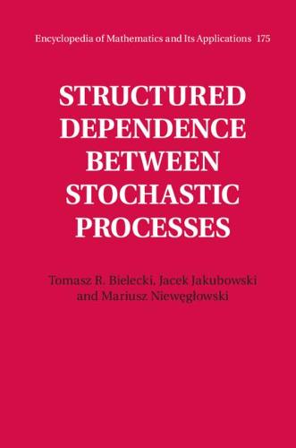 Structured Dependence between Stochastic Processes: 175 (Encyclopedia of Mathematics and its Applications)