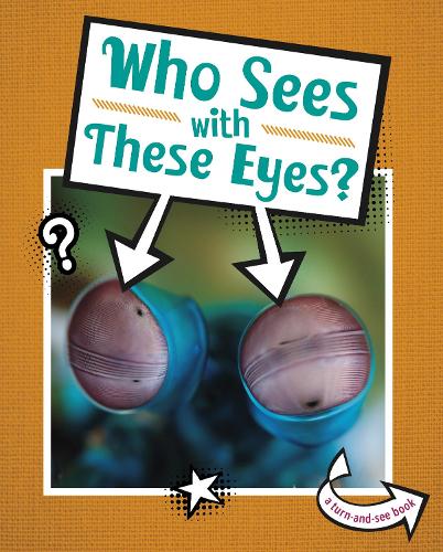 Who Sees With These Eyes? (Whose Is This?)