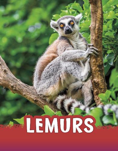 Lemurs (Animals)