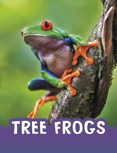 Tree Frogs (Animals)
