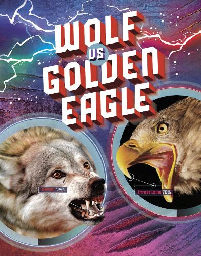 Wolf vs Golden Eagle (Predator vs Predator)