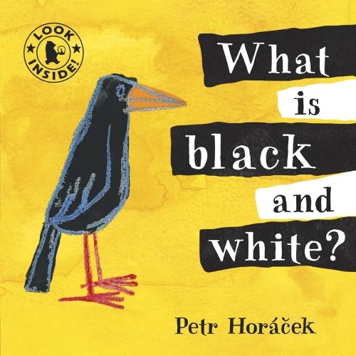 What Is Black and White? (Look Inside)
