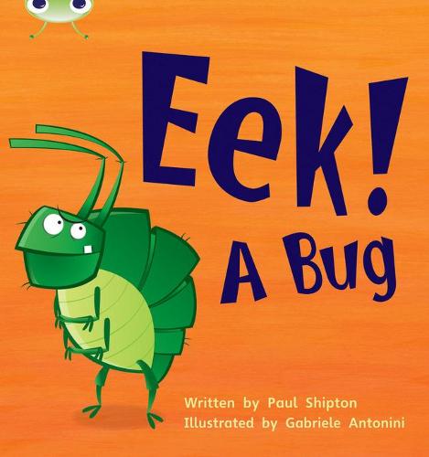 EEK! A Bug: Set 11 (Phonics Bug)
