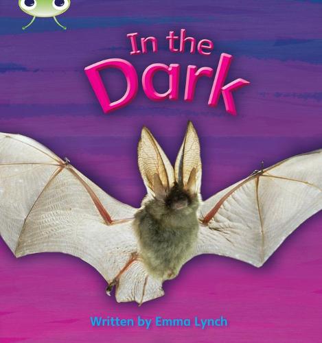 In the Dark: Non-Fiction Set 10 (Phonics Bug)