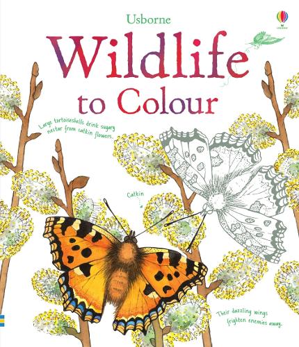 Wildlife to Colour (Colouring Books)