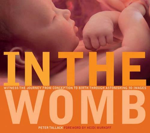 In the Womb: Witness the Journey from Conception to Birth Through Incredible 3D Imaging