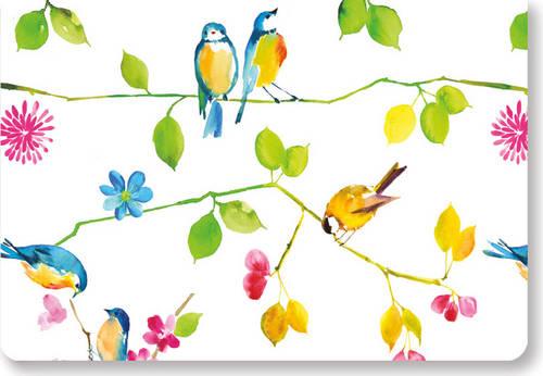 Watercolor Birds Note Cards (Boxed Cards, Stationery)