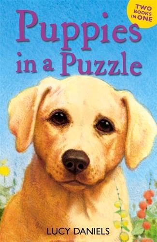 Puppies in a Puzzle: Dalmation in Dales AND Lab on Lawn (Animal Ark)