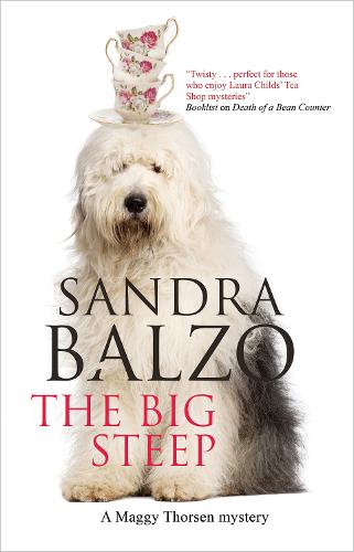 The Big Steep: 14 (A Maggy Thorsen Mystery)