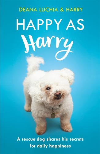 Happy as Harry: A rescue dog shares his secrets for daily happiness