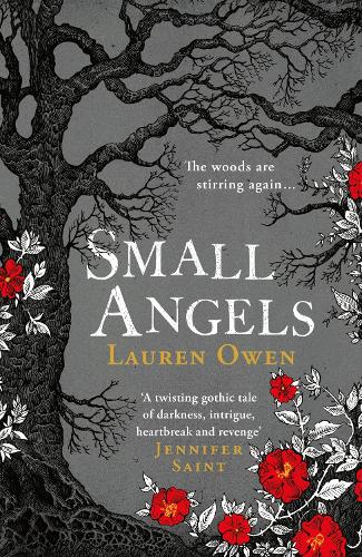 Small Angels: A twisting gothic novel of hauntings, heartbreak and revenge