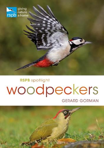 Rspb Spotlight Woodpeckers