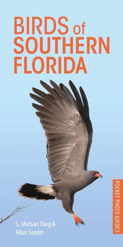 Birds of Southern Florida (Pocket Photo Guides)