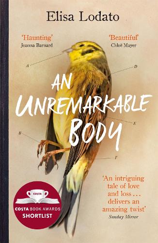 An Unremarkable Body: A stunning literary debut with a twist