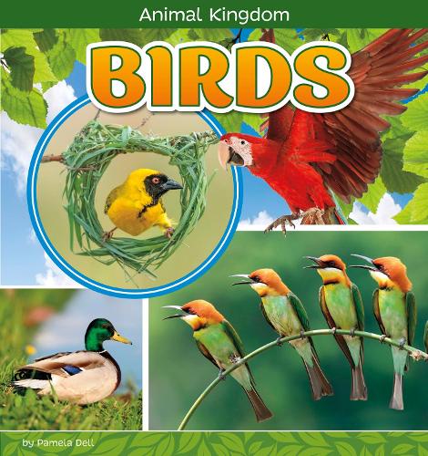 Animal Kingdom: Birds