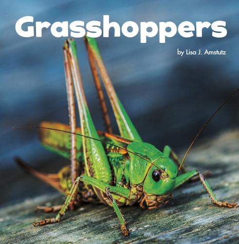 Little Creatures: Grasshoppers