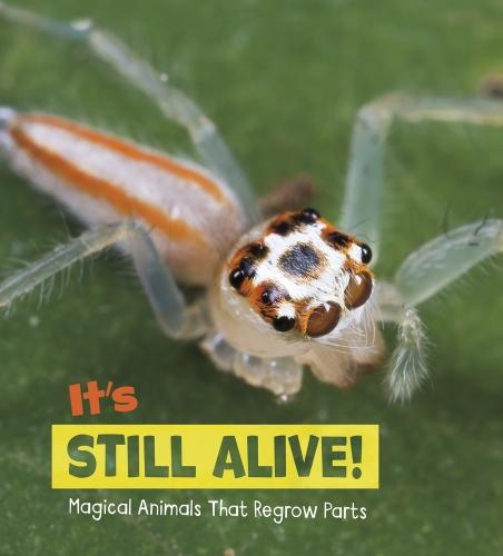 Magical Animals: It's Still Alive!: Magical Animals That Regrow Parts