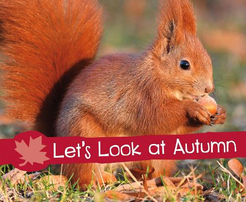 Investigate the Seasons: Let's Look at Autumn