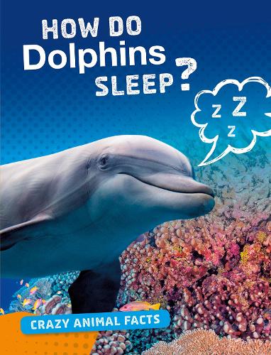 How Do Dolphins Sleep? (Bright Idea Books: Crazy Animal Facts)