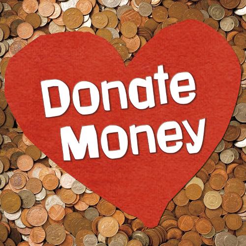 Earn It, Save It, Spend It!: Donate Money