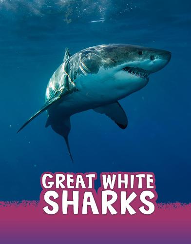 Great White Sharks (Animals)