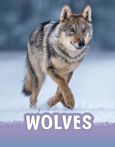 Wolves (Animals)