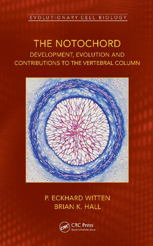 The Notochord: Development, Evolution and contributions to the vertebral column (Evolutionary Cell Biology)