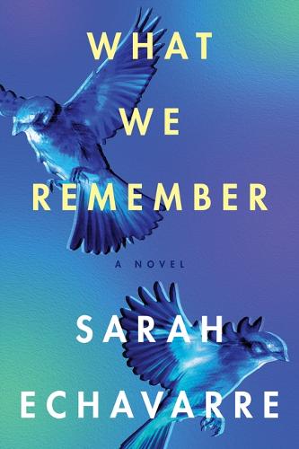 What We Remember: A Novel