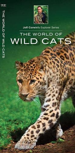 The World of Wild Cats (Jeff Corwin's Explorer Series)