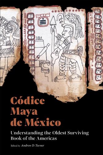 Codice Maya de Mexico: Understanding the Oldest Surviving Book of the Americas