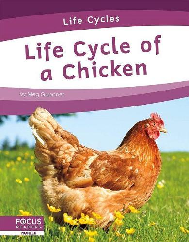 Life Cycle of a Chicken (Life Cycles)